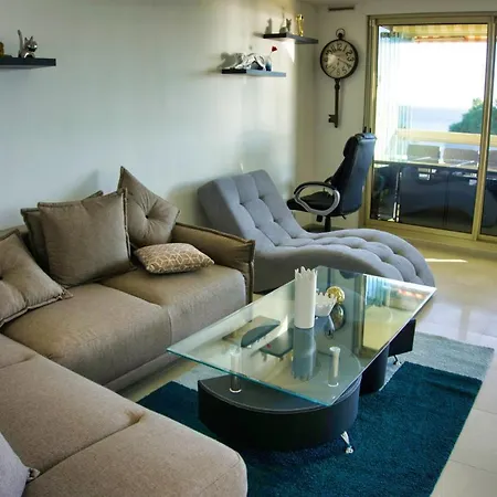 Ref Midi - Palmes D'or