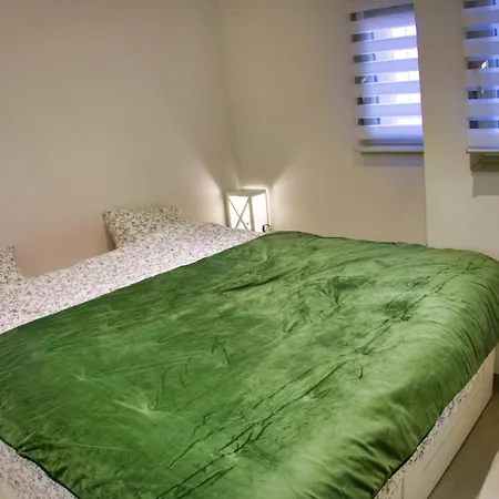 Ref Midi - Palmes D'or *