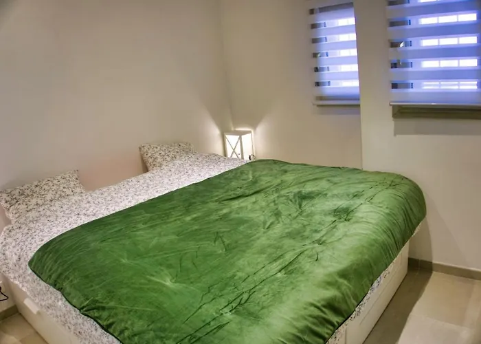 Ref Midi - Palmes D'or *